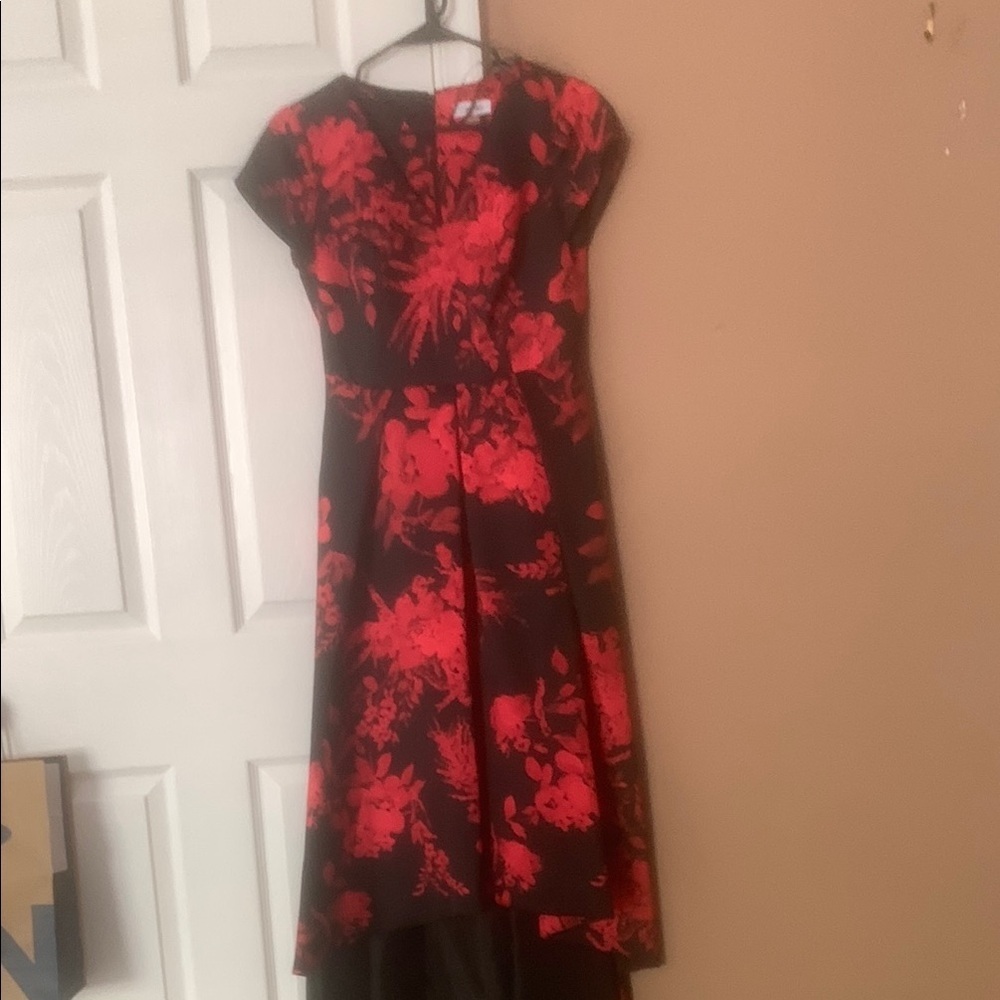 Calvin Klein Black and Red Floral Dress - Picture 4 of 8